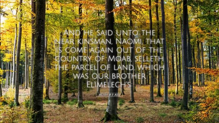 Picture 05 - Ruth 4:3 ASV Desktop Wallpaper - And he said unto the near kinsman, Naomi, that is - Desktop Bible Verse Wallpaper