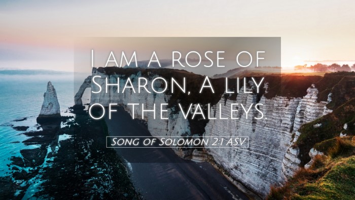 Picture 05 - Song of Solomon 2:1 ASV Desktop Wallpaper - I am a rose of Sharon, A lily of the - Desktop Bible Verse Wallpaper
