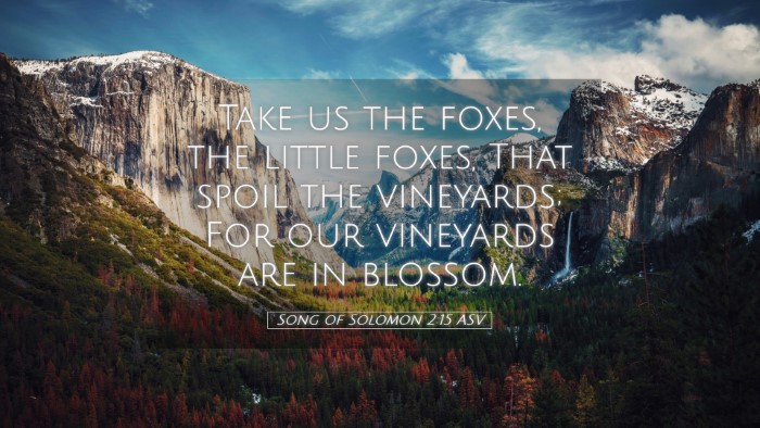 Picture 05 - Song of Solomon 2:15 ASV Desktop Wallpaper - Take us the foxes, the little foxes, That spoil - Desktop Bible Verse Wallpaper