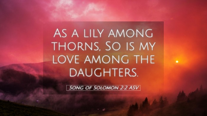 Picture 05 - Song of Solomon 2:2 ASV Desktop Wallpaper - As a lily among thorns, So is my love among the - Desktop Bible Verse Wallpaper