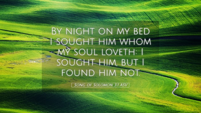 Picture 05 - Song of Solomon 3:1 ASV Desktop Wallpaper - By night on my bed I sought him whom my soul - Desktop Bible Verse Wallpaper