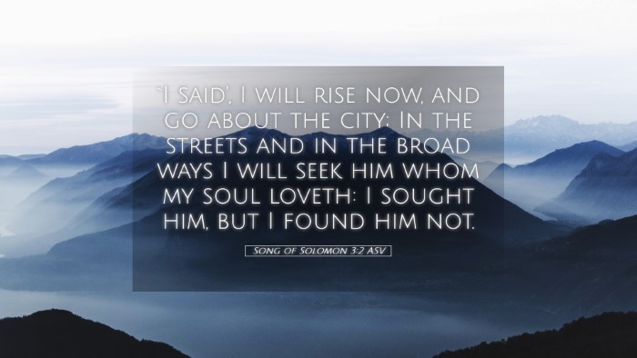 Picture 05 - Song of Solomon 3:2 ASV Desktop Wallpaper - `I said', I will rise now, and go about the city; - Desktop Bible Verse Wallpaper