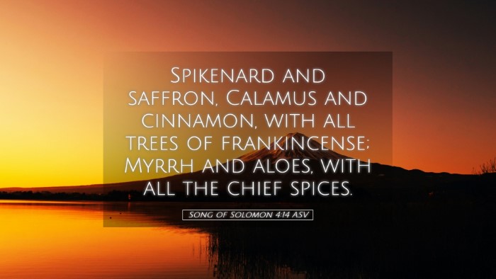 Picture 05 - Song of Solomon 4:14 ASV Desktop Wallpaper - Spikenard and saffron, Calamus and cinnamon, with - Desktop Bible Verse Wallpaper