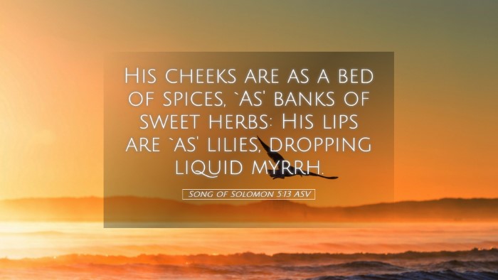 Picture 05 - Song of Solomon 5:13 ASV Desktop Wallpaper - His cheeks are as a bed of spices, `As' banks of - Desktop Bible Verse Wallpaper
