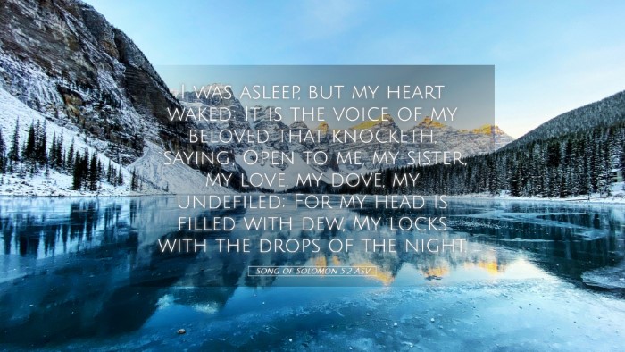 Picture 05 - Song of Solomon 5:2 ASV Desktop Wallpaper - I was asleep, but my heart waked: It is the voice - Desktop Bible Verse Wallpaper