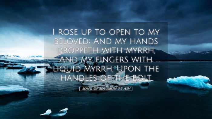 Picture 05 - Song of Solomon 5:5 ASV Desktop Wallpaper - I rose up to open to my beloved; And my hands - Desktop Bible Verse Wallpaper