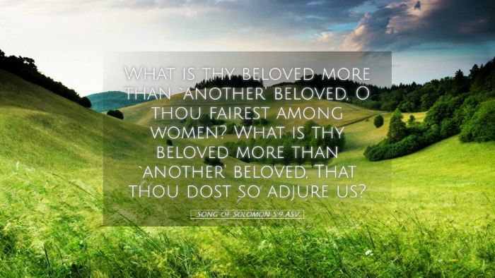 Picture 05 - Song of Solomon 5:9 ASV Desktop Wallpaper - What is thy beloved more than `another' beloved, - Desktop Bible Verse Wallpaper