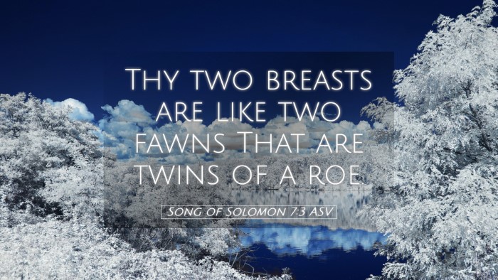 Picture 05 - Song of Solomon 7:3 ASV Desktop Wallpaper - Thy two breasts are like two fawns That are twins - Desktop Bible Verse Wallpaper