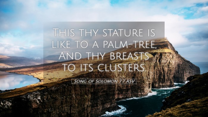 Picture 05 - Song of Solomon 7:7 ASV Desktop Wallpaper - This thy stature is like to a palm-tree, And thy - Desktop Bible Verse Wallpaper