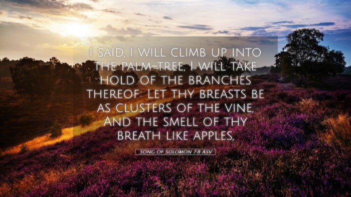 Picture 05 - Song of Solomon 7:8 ASV Desktop Wallpaper - I said, I will climb up into the palm-tree, I - Desktop Bible Verse Wallpaper