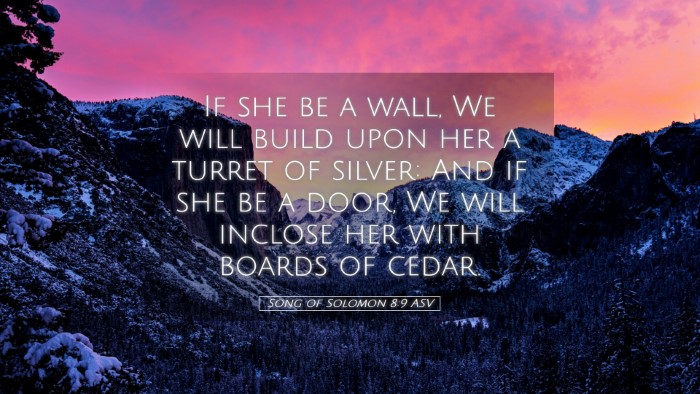 Picture 05 - Song of Solomon 8:9 ASV Desktop Wallpaper - If she be a wall, We will build upon her a turret - Desktop Bible Verse Wallpaper