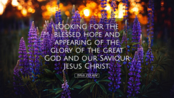 Picture 05 - Titus 2:13 ASV Desktop Wallpaper - looking for the blessed hope and appearing of the - Desktop Bible Verse Wallpaper
