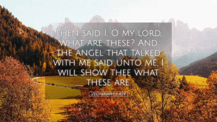 Picture 05 - Zechariah 1:9 ASV Desktop Wallpaper - Then said I, O my lord, what are these? And the - Desktop Bible Verse Wallpaper