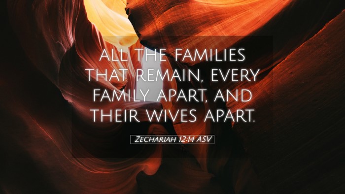 Picture 05 - Zechariah 12:14 ASV Desktop Wallpaper - all the families that remain, every family apart, - Desktop Bible Verse Wallpaper