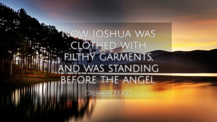 Picture 05 - Zechariah 3:3 ASV Desktop Wallpaper - Now Joshua was clothed with filthy garments, and - Desktop Bible Verse Wallpaper