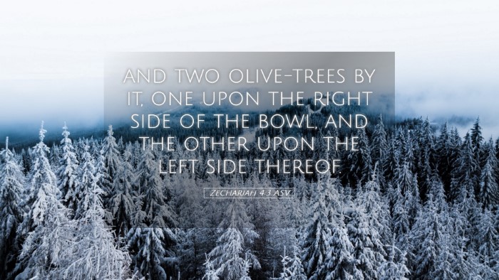 Picture 05 - Zechariah 4:3 ASV Desktop Wallpaper - and two olive-trees by it, one upon the right - Desktop Bible Verse Wallpaper