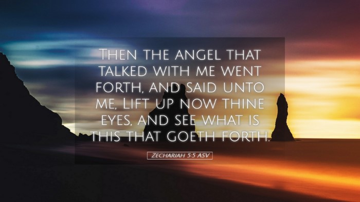 Picture 05 - Zechariah 5:5 ASV Desktop Wallpaper - Then the angel that talked with me went forth, - Desktop Bible Verse Wallpaper