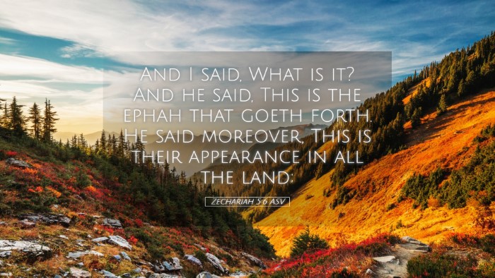 Picture 05 - Zechariah 5:6 ASV Desktop Wallpaper - And I said, What is it? And he said, This is the - Desktop Bible Verse Wallpaper