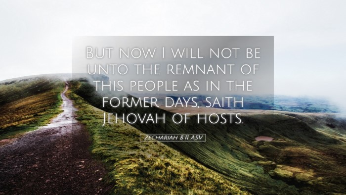 Picture 05 - Zechariah 8:11 ASV Desktop Wallpaper - But now I will not be unto the remnant of this - Desktop Bible Verse Wallpaper
