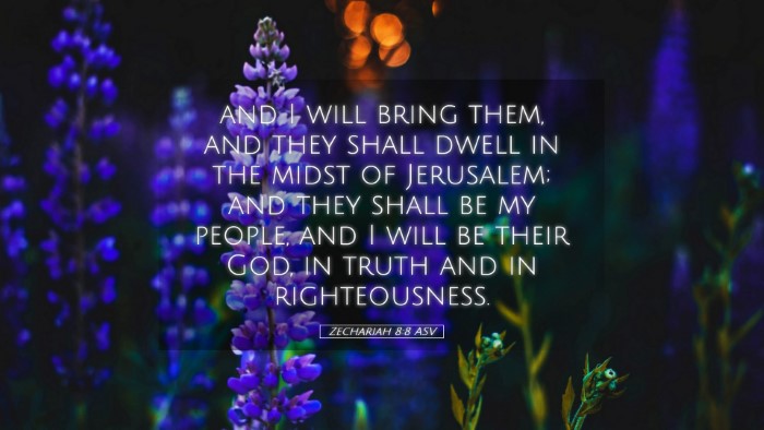 Picture 05 - Zechariah 8:8 ASV Desktop Wallpaper - and I will bring them, and they shall dwell in - Desktop Bible Verse Wallpaper