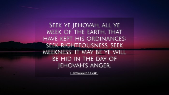 Picture 05 - Zephaniah 2:3 ASV Desktop Wallpaper - Seek ye Jehovah, all ye meek of the earth, that - Desktop Bible Verse Wallpaper