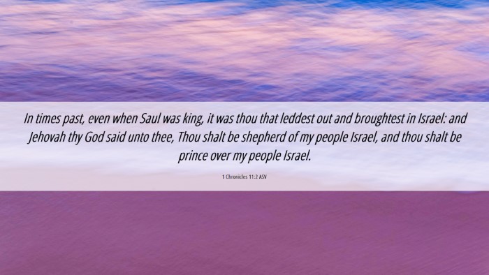Picture 06 - 1 Chronicles 11:2 ASV Desktop Wallpaper - In times past, even when Saul was king, it was - Desktop Bible Verse Wallpaper