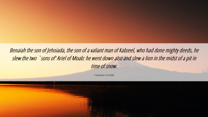 Picture 06 - 1 Chronicles 11:22 ASV Desktop Wallpaper - Benaiah the son of Jehoiada, the son of a valiant - Desktop Bible Verse Wallpaper