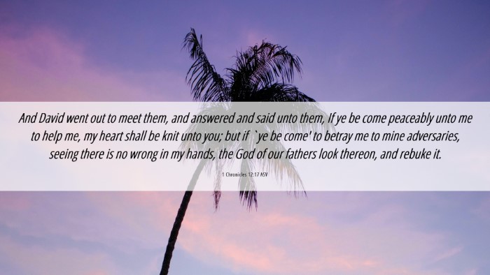 Picture 06 - 1 Chronicles 12:17 ASV Desktop Wallpaper - And David went out to meet them, and answered and - Desktop Bible Verse Wallpaper