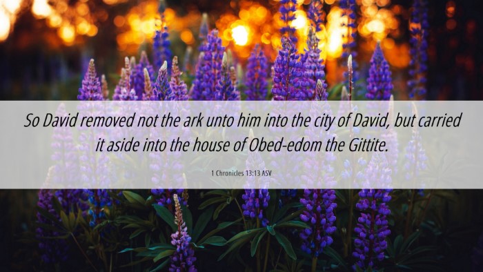 Picture 06 - 1 Chronicles 13:13 ASV Desktop Wallpaper - So David removed not the ark unto him into the - Desktop Bible Verse Wallpaper