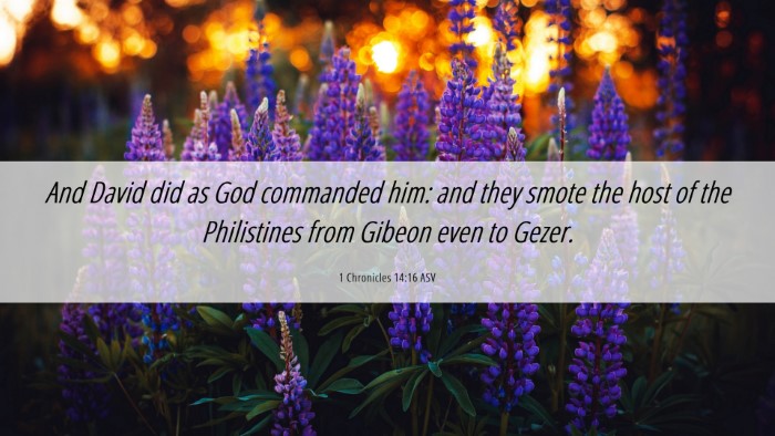 Picture 06 - 1 Chronicles 14:16 ASV Desktop Wallpaper - And David did as God commanded him: and they - Desktop Bible Verse Wallpaper