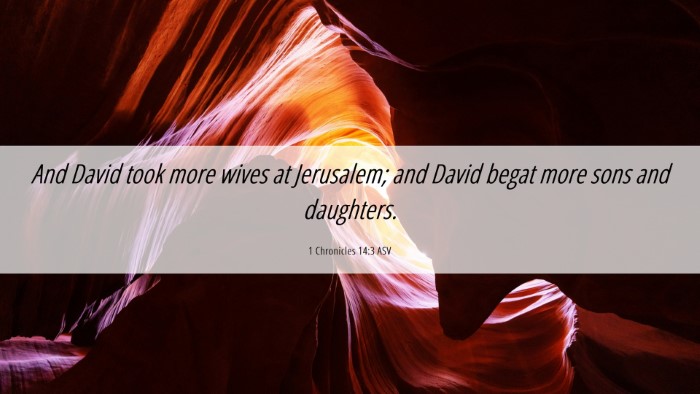Picture 06 - 1 Chronicles 14:3 ASV Desktop Wallpaper - And David took more wives at Jerusalem; and David - Desktop Bible Verse Wallpaper