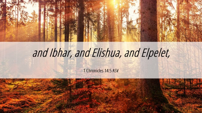 Picture 06 - 1 Chronicles 14:5 ASV Desktop Wallpaper - and Ibhar, and Elishua, and - Desktop Bible Verse Wallpaper