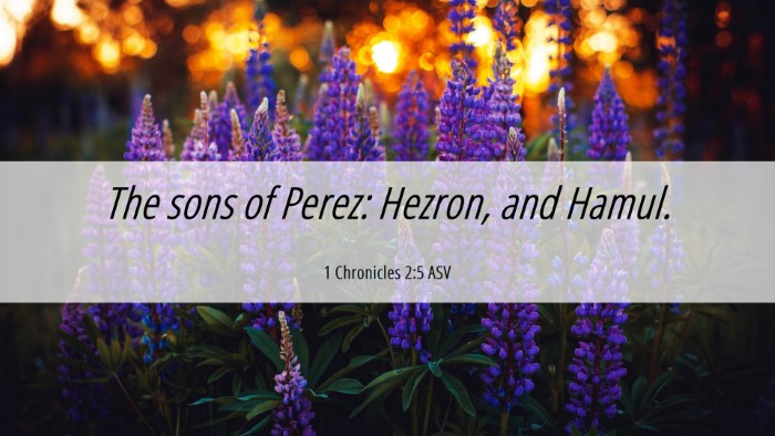 Picture 06 - 1 Chronicles 2:5 ASV Desktop Wallpaper - The sons of Perez: Hezron, and - Desktop Bible Verse Wallpaper