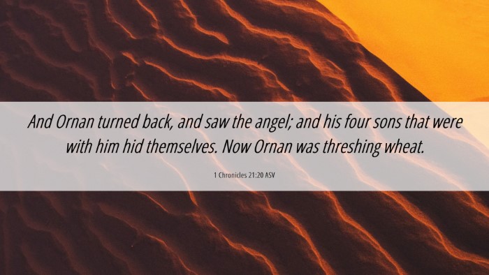 Picture 06 - 1 Chronicles 21:20 ASV Desktop Wallpaper - And Ornan turned back, and saw the angel; and his - Desktop Bible Verse Wallpaper
