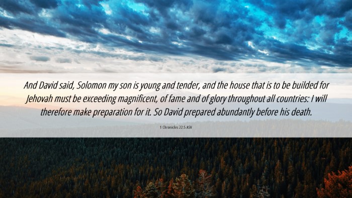 Picture 06 - 1 Chronicles 22:5 ASV Desktop Wallpaper - And David said, Solomon my son is young and - Desktop Bible Verse Wallpaper