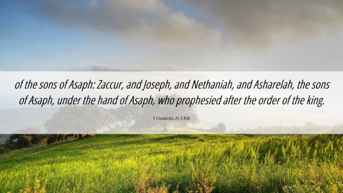 Picture 06 - 1 Chronicles 25:2 ASV Desktop Wallpaper - of the sons of Asaph: Zaccur, and Joseph, and - Desktop Bible Verse Wallpaper