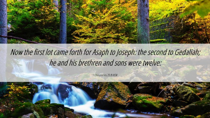 Picture 06 - 1 Chronicles 25:9 ASV Desktop Wallpaper - Now the first lot came forth for Asaph to Joseph: - Desktop Bible Verse Wallpaper