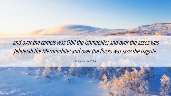 Picture 06 - 1 Chronicles 27:30 ASV Desktop Wallpaper - and over the camels was Obil the Ishmaelite: and - Desktop Bible Verse Wallpaper