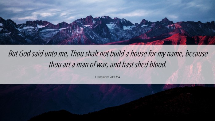 Picture 06 - 1 Chronicles 28:3 ASV Desktop Wallpaper - But God said unto me, Thou shalt not build a - Desktop Bible Verse Wallpaper