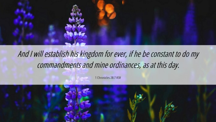 Picture 06 - 1 Chronicles 28:7 ASV Desktop Wallpaper - And I will establish his kingdom for ever, if he - Desktop Bible Verse Wallpaper