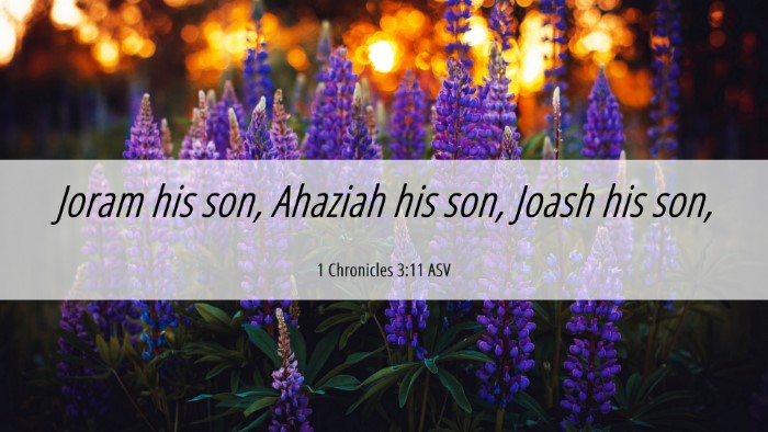 Picture 06 - 1 Chronicles 3:11 ASV Desktop Wallpaper - Joram his son, Ahaziah his son, Joash his - Desktop Bible Verse Wallpaper