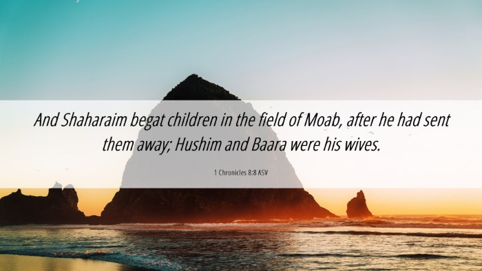 Picture 06 - 1 Chronicles 8:8 ASV Desktop Wallpaper - And Shaharaim begat children in the field of - Desktop Bible Verse Wallpaper