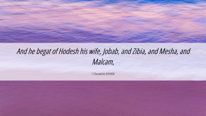 Picture 06 - 1 Chronicles 8:9 ASV Desktop Wallpaper - And he begat of Hodesh his wife, Jobab, and - Desktop Bible Verse Wallpaper