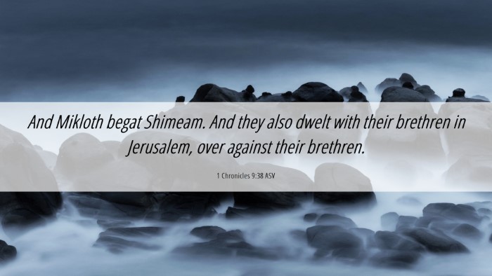 Picture 06 - 1 Chronicles 9:38 ASV Desktop Wallpaper - And Mikloth begat Shimeam. And they also dwelt - Desktop Bible Verse Wallpaper