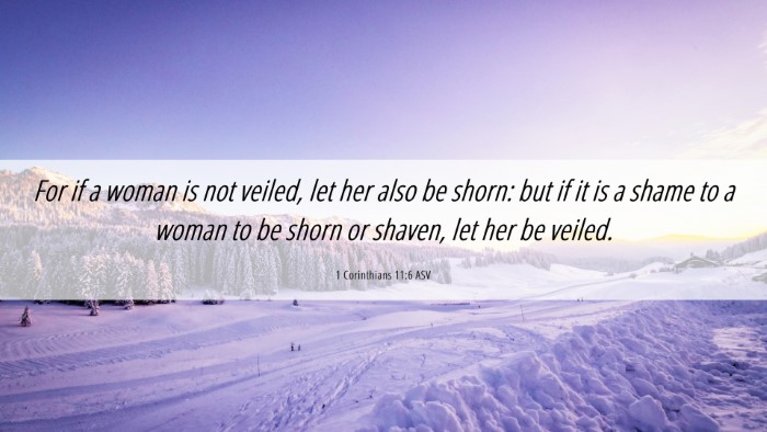 Picture 06 - 1 Corinthians 11:6 ASV Desktop Wallpaper - For if a woman is not veiled, let her also be - Desktop Bible Verse Wallpaper