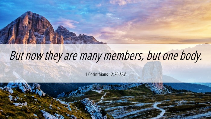 Picture 06 - 1 Corinthians 12:20 ASV Desktop Wallpaper - But now they are many members, but one - Desktop Bible Verse Wallpaper