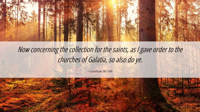 Picture 06 - 1 Corinthians 16:1 ASV Desktop Wallpaper - Now concerning the collection for the saints, as - Desktop Bible Verse Wallpaper