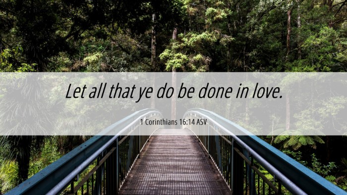 Picture 06 - 1 Corinthians 16:14 ASV Desktop Wallpaper - Let all that ye do be done in - Desktop Bible Verse Wallpaper