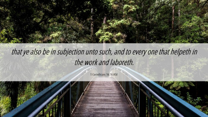 Picture 06 - 1 Corinthians 16:16 ASV Desktop Wallpaper - that ye also be in subjection unto such, and to - Desktop Bible Verse Wallpaper