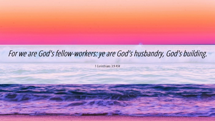 Picture 06 - 1 Corinthians 3:9 ASV Desktop Wallpaper - For we are God's fellow-workers: ye are God's - Desktop Bible Verse Wallpaper